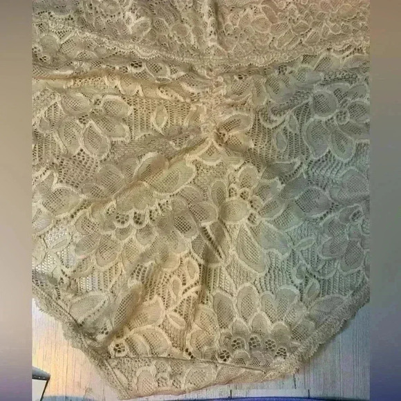 No Boundaries 1 Beige Nylon Lace & Purple Hipsters Size XXXL(21) . (Lot Of 2) - Picture 7 of 14